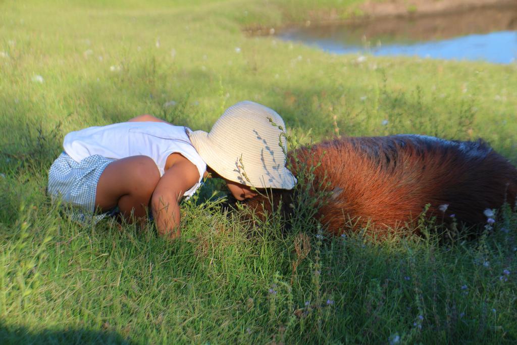 Estancia Turistica Finca Piedra Mal Abrigo Ngoại thất bức ảnh